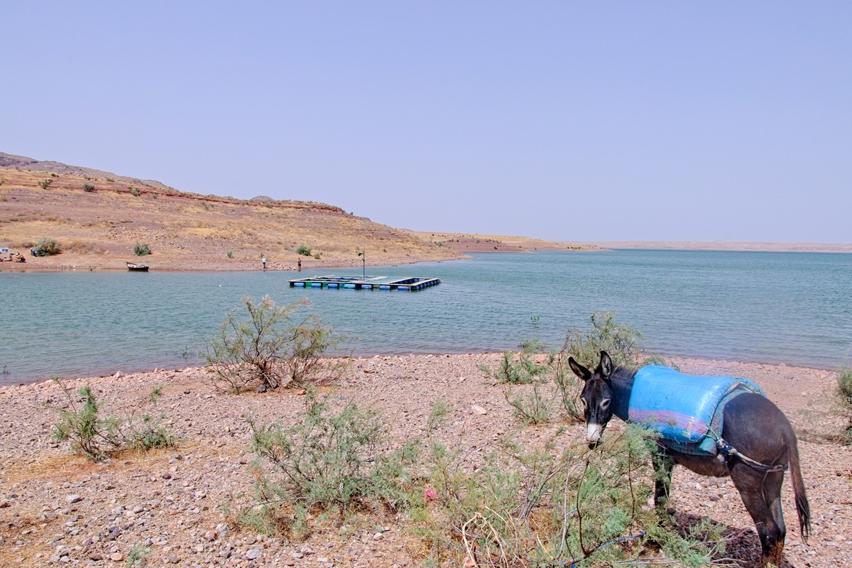Climat : quatre faits qui donnent le vertige — entre sécheresse marocaine et vague plus haute qu'un gratte-ciel