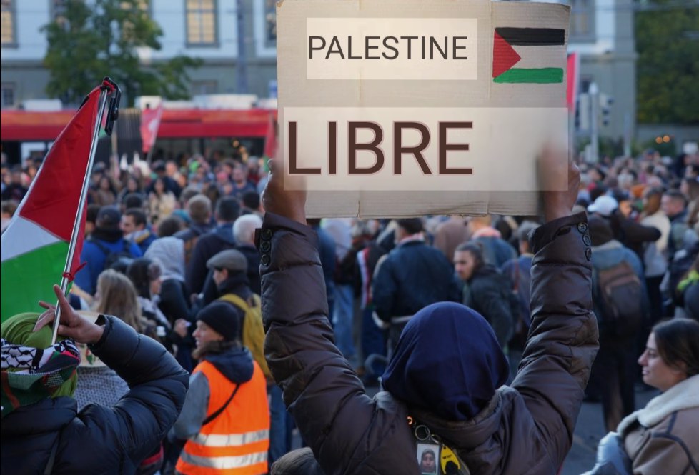 Manifestation pour la Palestine